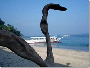 Rem'S Virgin Island Hotel Puerto Galera Luaran gambar